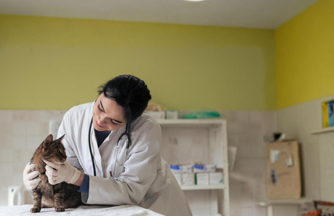 AI Virtual Receptionist capturing pet details, health records, and owner information for veterinary teams.